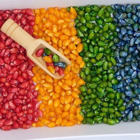 Sensory Corns