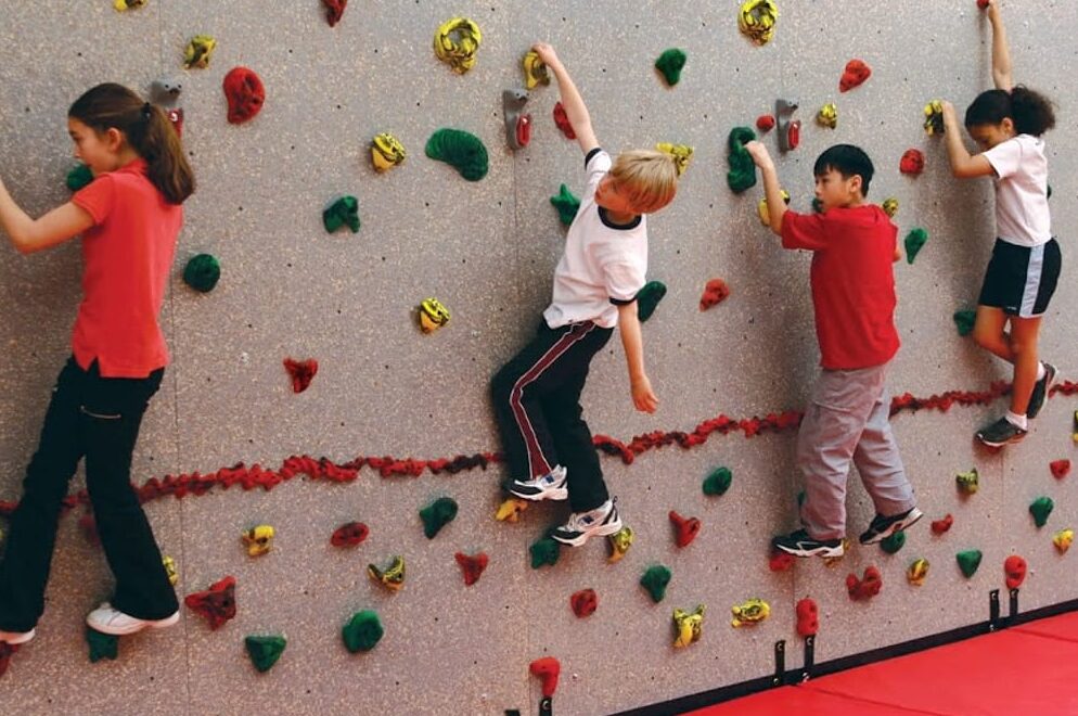 Wall Rock Climbing Panel with holds
